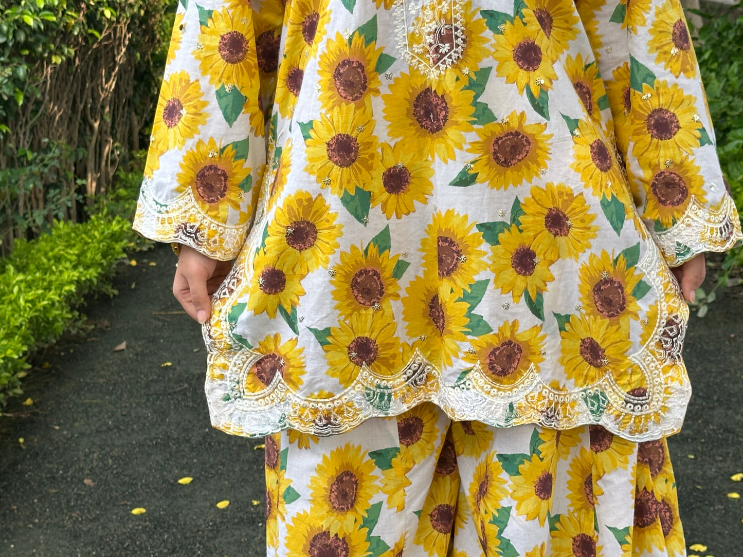 Sunflower Bloom