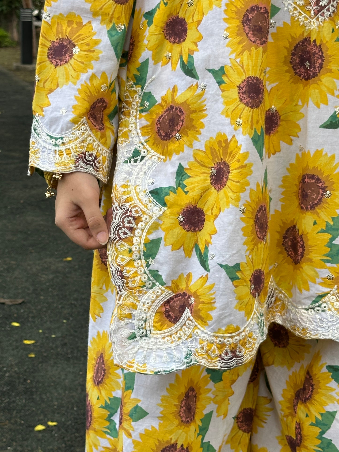 Sunflower Bloom